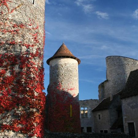 Ingrandes  Chateau D'Ingrandes المظهر الخارجي الصورة