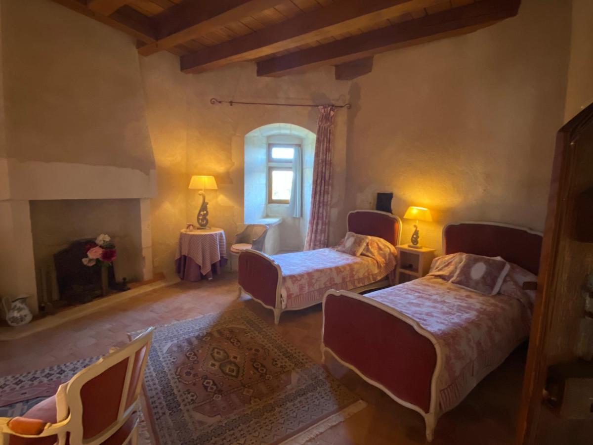 Ingrandes  Chateau D'Ingrandes المظهر الخارجي الصورة