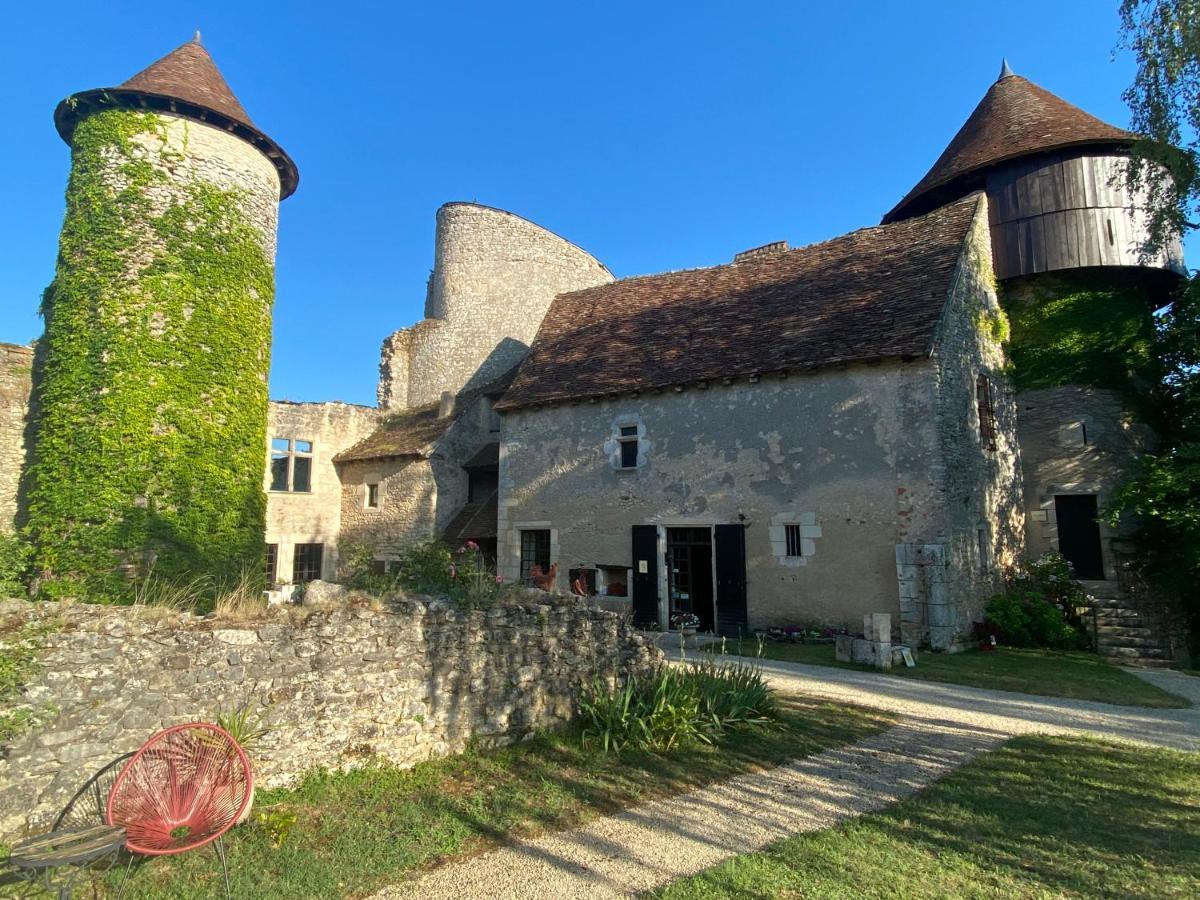 Ingrandes  Chateau D'Ingrandes المظهر الخارجي الصورة