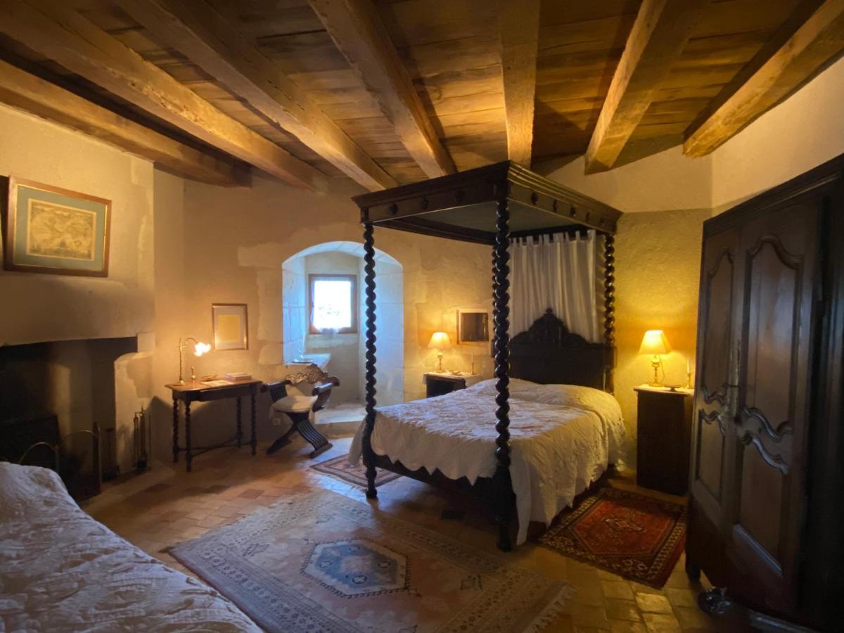 Ingrandes  Chateau D'Ingrandes المظهر الخارجي الصورة