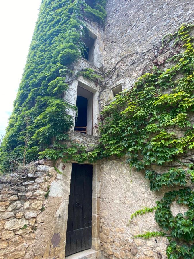 Ingrandes  Chateau D'Ingrandes المظهر الخارجي الصورة