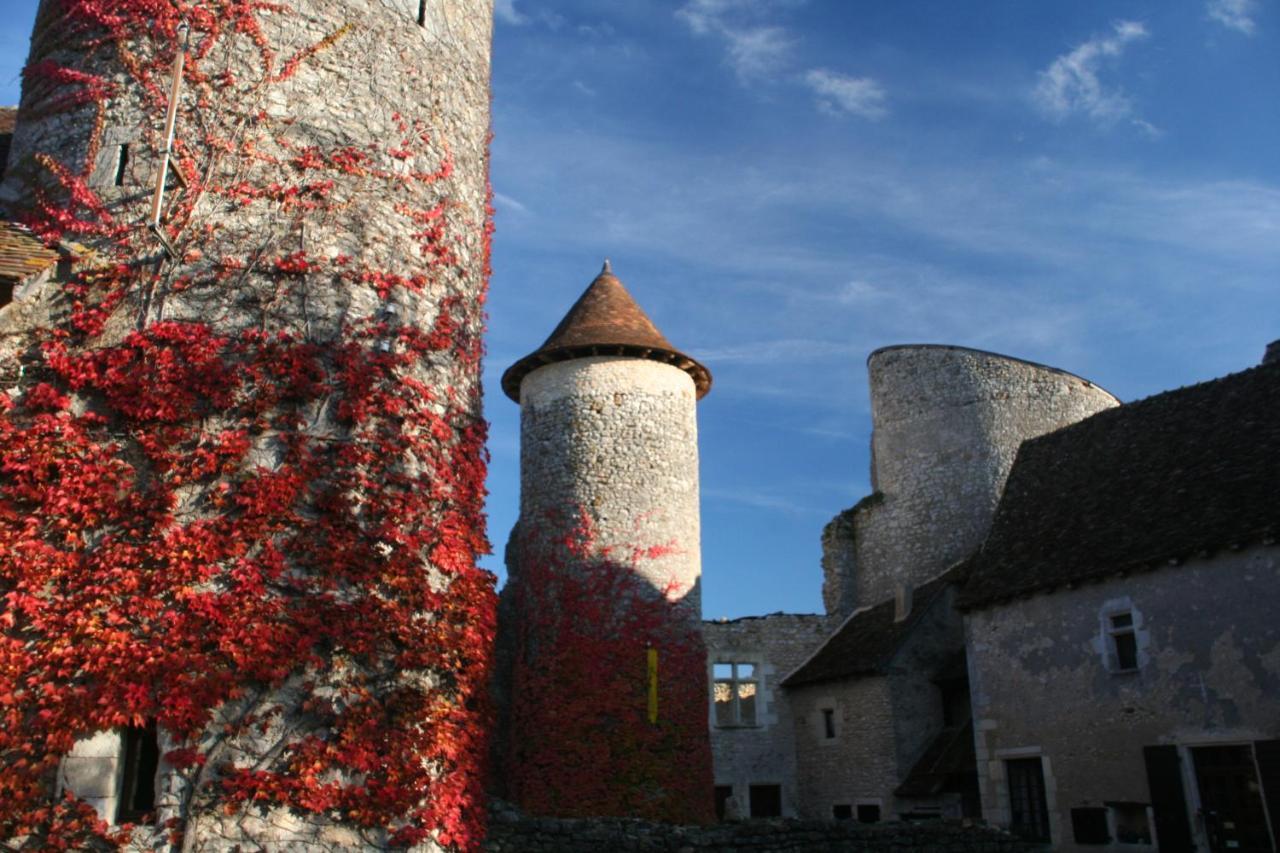 Ingrandes  Chateau D'Ingrandes المظهر الخارجي الصورة