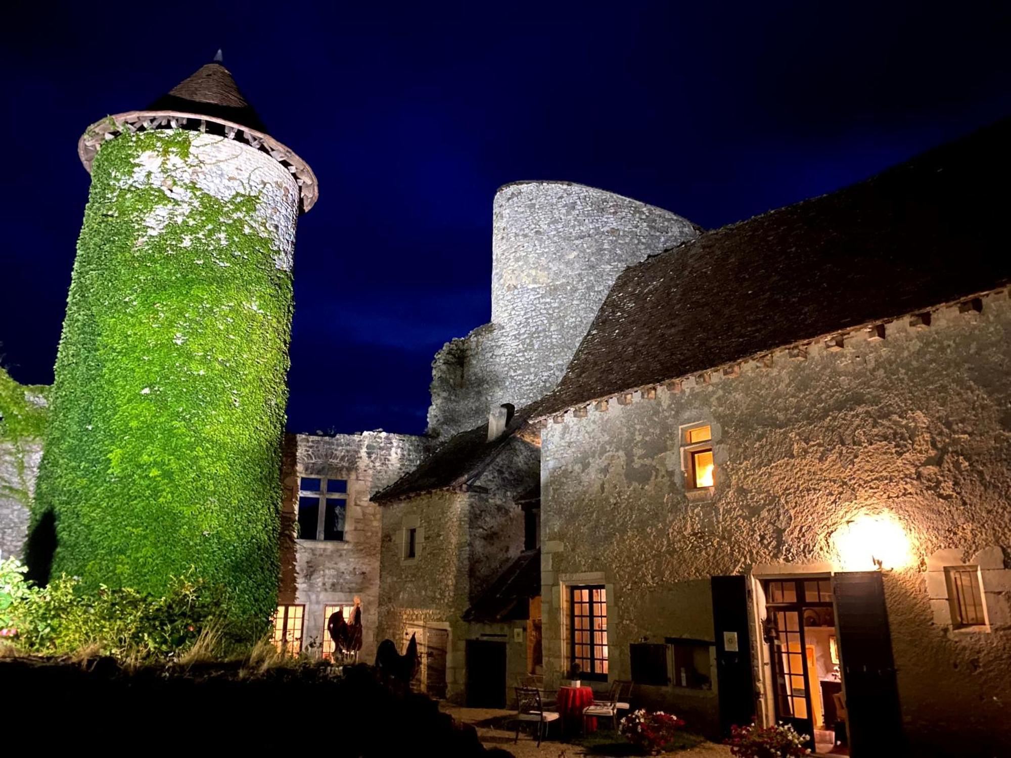 Ingrandes  Chateau D'Ingrandes المظهر الخارجي الصورة